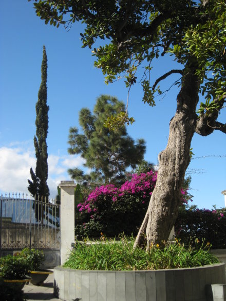 La Orotava La Orotava
