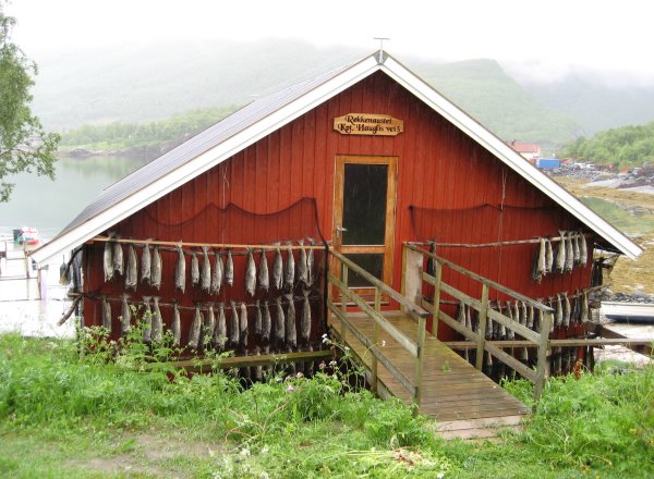 Vagsfjorden