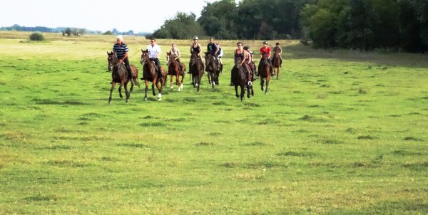 endlose und schoene Galoppstrecken