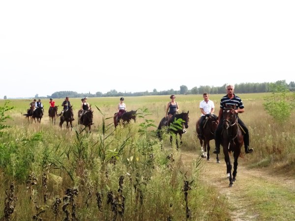 in den Weiten der Puszta