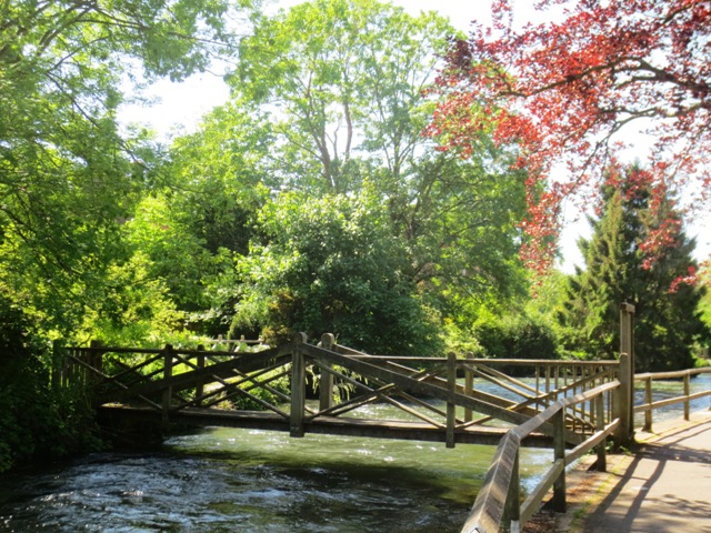 Winchester River Itchen