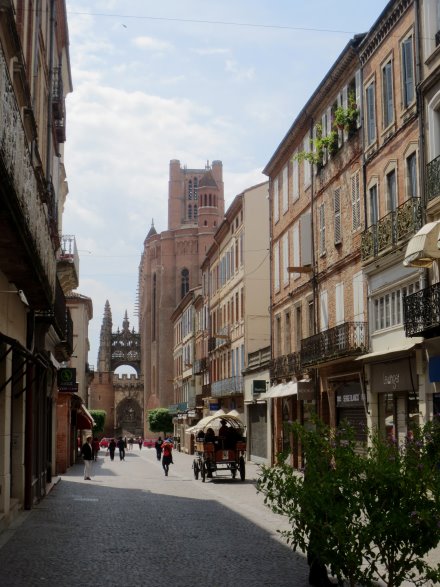 Albi