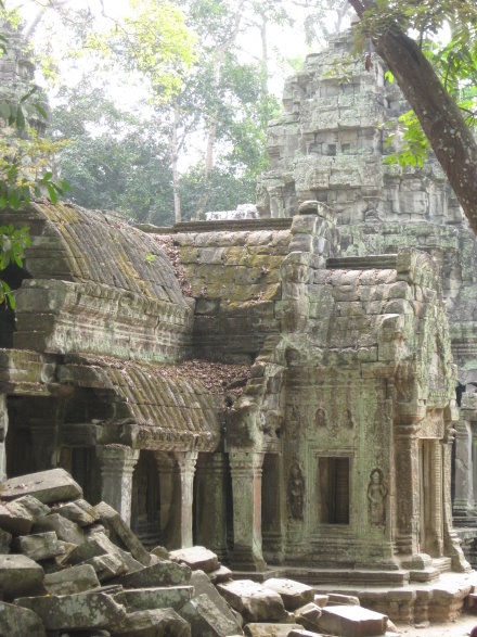 Angkor Ta Prohm 