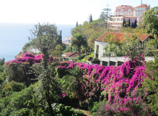 Funchal-Reids Huegel