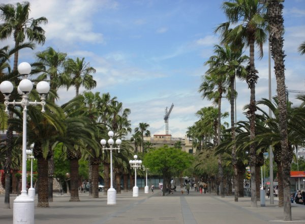Barcelona Paseig de Colom
