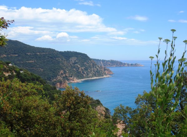 Costa Brava 8