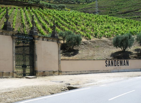 Douro-Sandeman