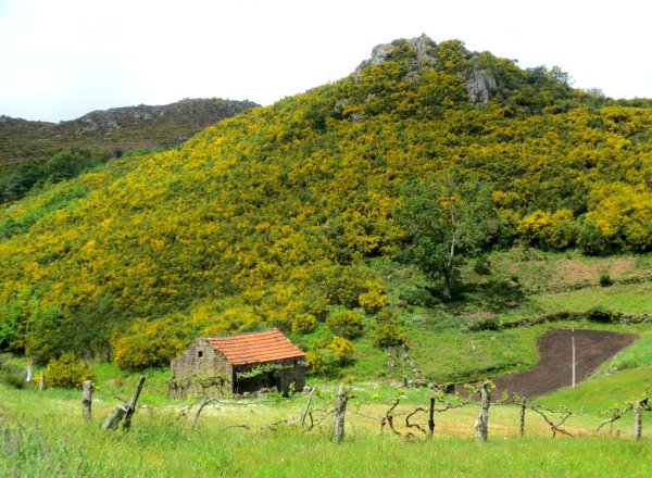 Serra do Caramulo