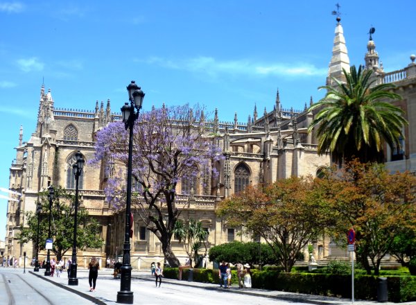 Sevilla-Catedral