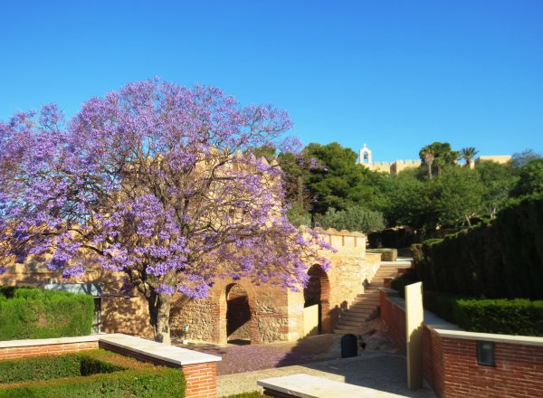 Almeria Alcazaba