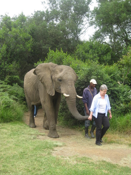 Elephant Sanctuary