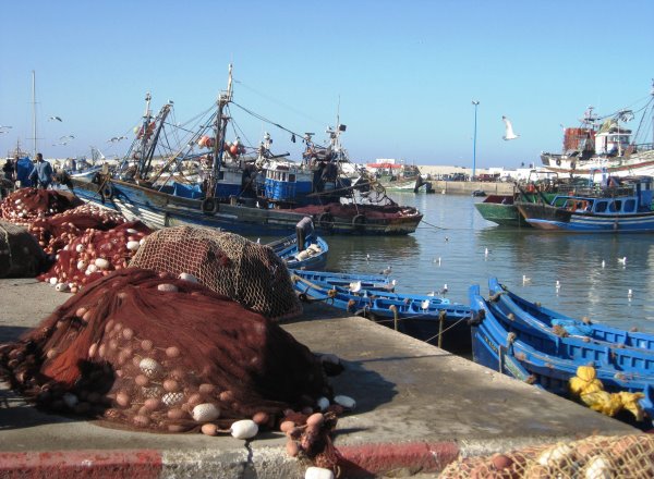 Essaouira Hafen-10