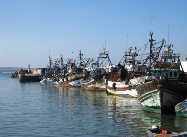 Essaouira Hafen-15