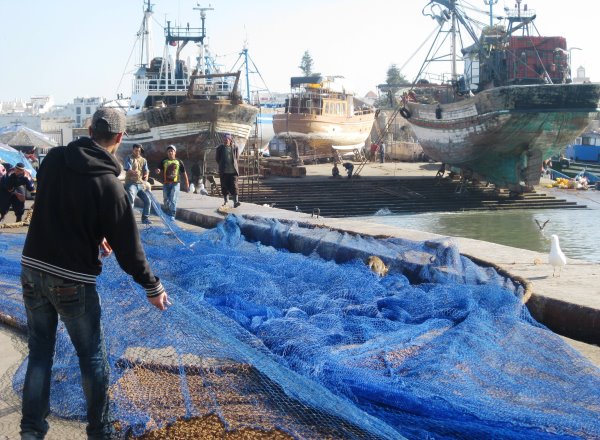 Essaouira Hafen-17