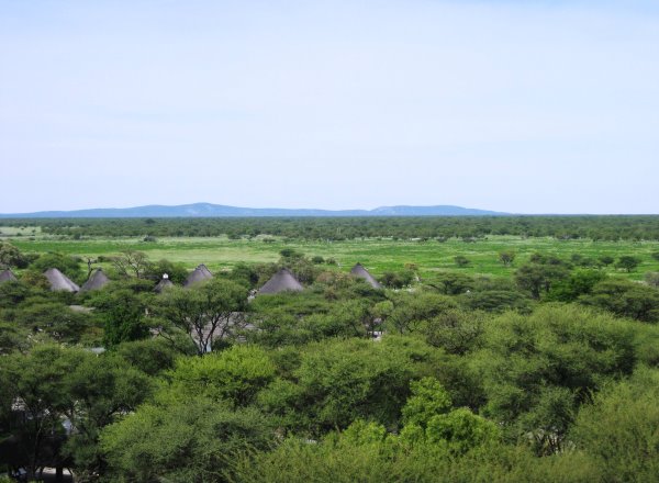 Etosha Buschland