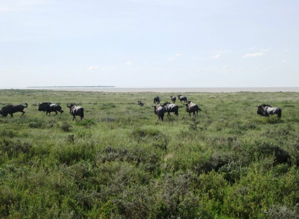 Etosha Nationalpark
