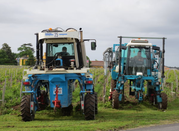 Haut Medoc Arbeitswagen