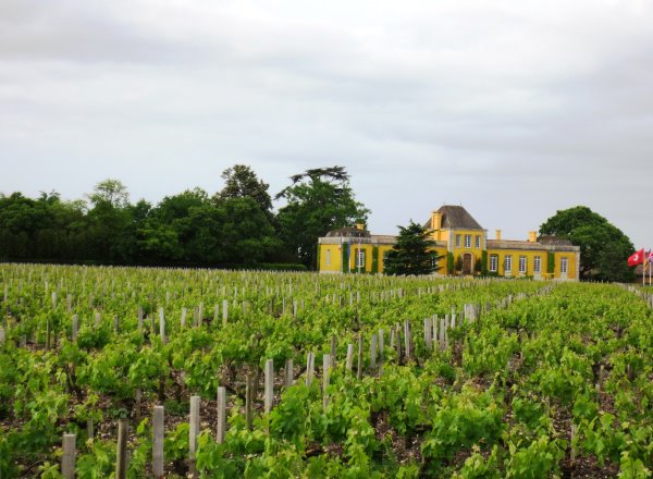 Haut Medoc Chateau Rochet