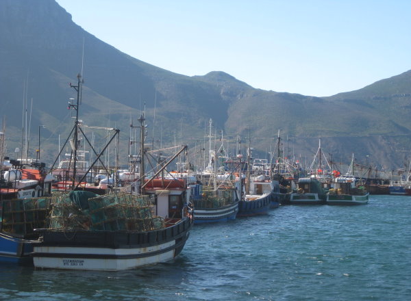 Hout Bay Hafen
