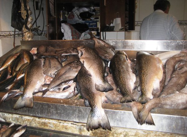 Santiago Fischmarkt Santiago Fischmarkt