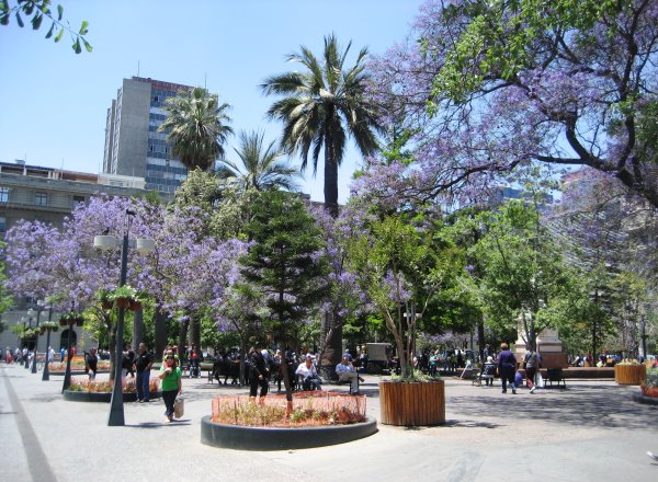 Santiago Plaza de Armas Santiago Plaza de Armas