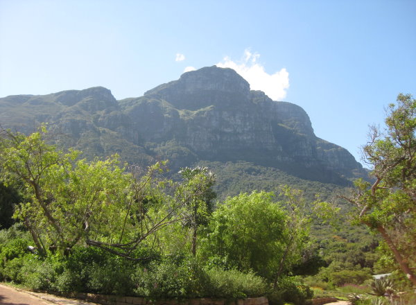 Kirstenbosch