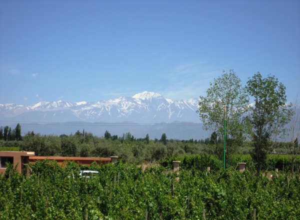 Mendoza-Cava Vistandes
