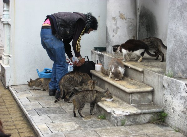 Buenos Aires La Recoleta Cemetery