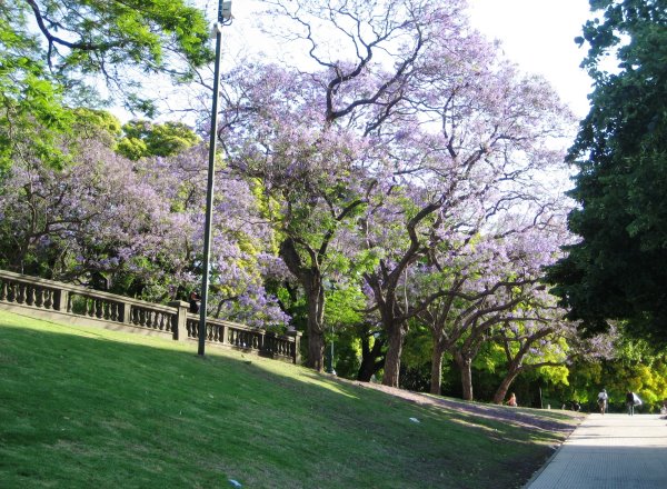 Buenos Aires P am Torre de los Ingleses