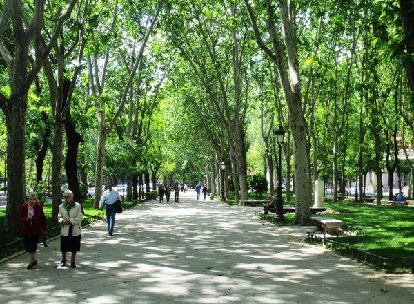 Madrid Paseo del Prado