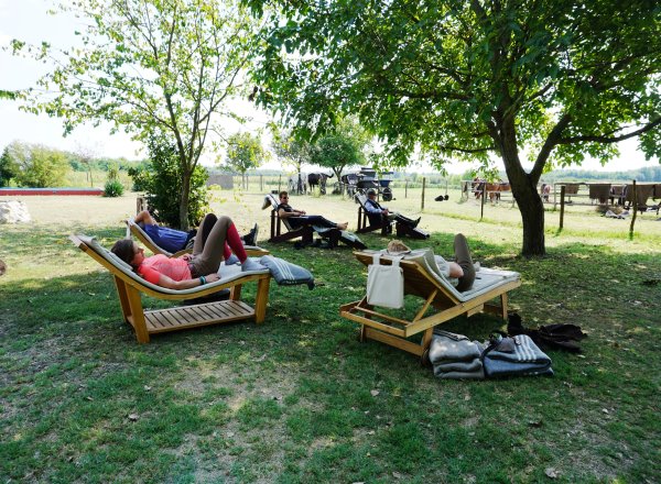 Mittagspause fuer die Reiter