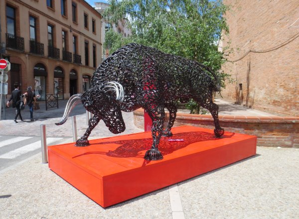 Montauban Stier