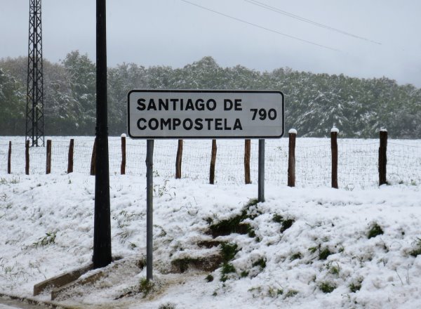 Roncesvalles Camino