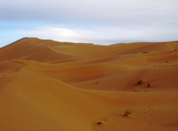 Sandduenen 6