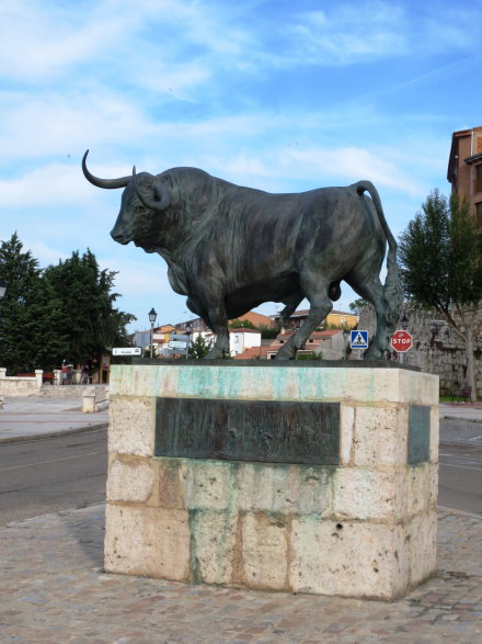 Tordesillas Torro