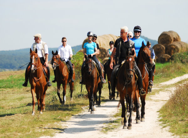Verschnaufen fuer die Pferde - und Reiter