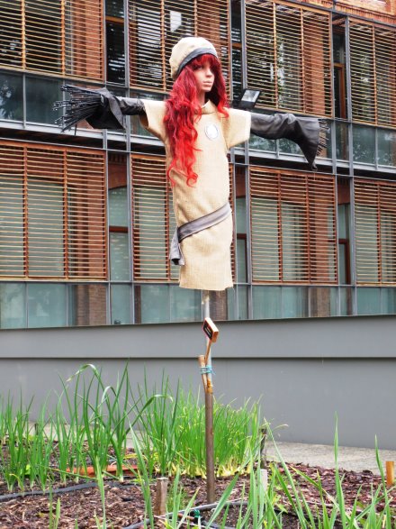 Vitoria Vogelschaeuche