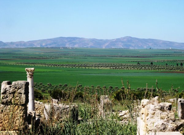 Volubilis 17