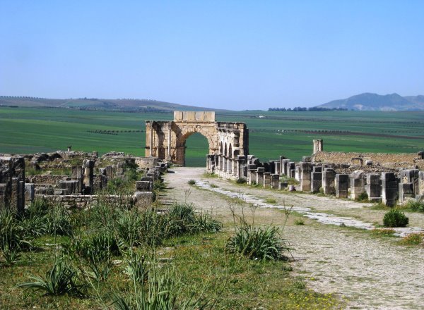 Volubilis 9