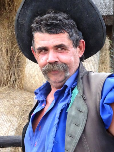 der ungarische Postillion