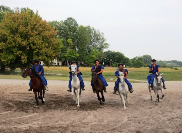 froehliche Puszta-Hirten (Csikos)
