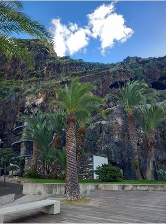 Ribeira Brava