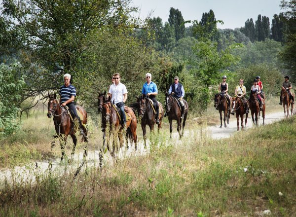 zwischendurch erholsamer Schritt